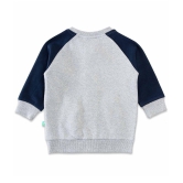 JusCubs Boys Cotton Lycra Infants Embroidered Sweatshirt - GREY (Pack of 1) - None