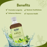 Sri Sri Tattva Amla Juice - Energise With Vitamin C | Rejuvenator, Immunity Builder, Antioxidant | No Added Sugar | 1L