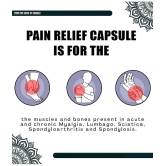 Grinbizz Pain Relief Capsules ( Pack of 1 )