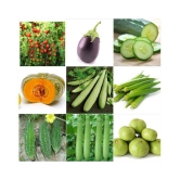 special combo ( 10 vegetables) seeds for kitchen and terrace summer and all season vegetables