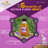 ONE BEE ORGANIC Honey | Alfalfa Flora Honey/Alfalfa Blossom Honey | Natural Flora Honey - 280 GM.