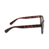 Brown Square Sunglasses for Men