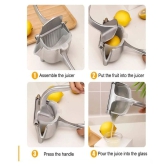 VALLEY GREEN Fruit Hand Juicer Silver Manual Juicer - Silver