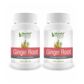 BHUMIJA LIFESCIENCES Ginger Root Capsules 120 no.s