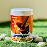 Promepro Chocolate Flavor Protein Powder - 200gm( pack of 2)