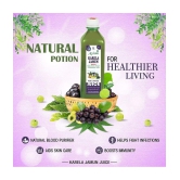 Axiom Karela Jamun Swaras 500 ml -Pack of 2 | Maintaining Blood Sugar Levels | Lowers Bad Cholesterol Levels | For Glowing Skin and Lustrous Hair | 100% Natural WHO GMP, GLP Certified Produc