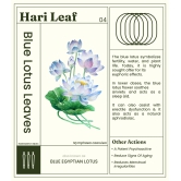 Hari Leaf Calm Blend - Blueberry