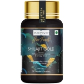 Kapiva Shilajit Gold Capsules 30 Cap