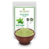 Balu Herbals Pudina Powder 100G Powder 100 gm