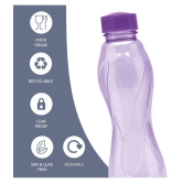 Milton - Purple Water Bottle 1000 mL ( Set of 6 ) - Purple