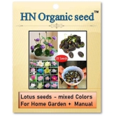 homeagro - Flower Seeds ( Lotus seeds -mixed colours 20 seeds )