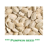 Organic Pumpkin Seeds ( 40 Seeds)