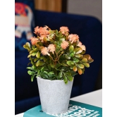 Orange & Green Artificial Flower with Pot - Cylindrical Shape