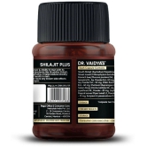 DR Vaidya's Shilajit Plus 30 Cap - (Pack of 2)