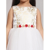 Toy Balloon Kids White Net Girls Gown ( Pack of 1 ) - None