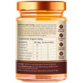 ANP BEE Honey Raw Organic Honey 250 g Pack of 2