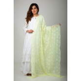 Ladies New Fashion Hand Chikankari Dupatta