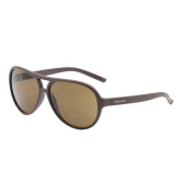 Brown Aviator Sunglasses for Men