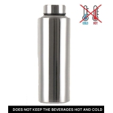 AKG Stainless Steel Fridge Bottle/ Silver 1000 mL Steel Water Bottle set of 1 - Silver