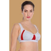 Madam - Red Cotton Lightly Padded Womens Push Up Bra ( Pack of 1 ) - None