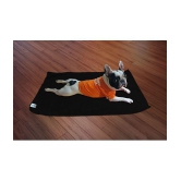 SOFTSPUN Dog Wellness Accessories ( 1 )