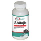 Way2Herbal Shilajit 120    Capsule 240 mg