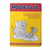 MOUSE GLUE POISONS  - 6 gm