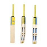 CSK Whistle Podu - Cut Frame Kashmir Willow Tennis Bat-6 / Orange/Yellow / Kashmir Willow Bat