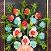 sonchiraiya Seashell Wood Frame