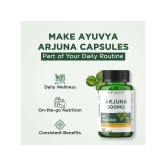 Ayuvya Arjuna Capsules || 500mg Bark Extract, Arjun Ki Chaal Powder - Heart Health Supplement for Cholesterol & Blood Pressure Management, 60 Capsules