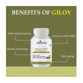 Herbs Library Giloy Immunity Booster Capsule, 60 Capsules (Pack of 1)