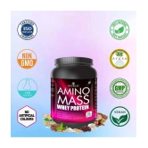 Nutriley Amino Mass Whey Protein ( 500 gm , Banana - Flavour )