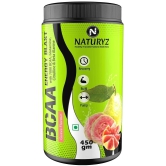 NATURYZ BCAA Energy Blast Pre Intra Post Workout For Recovery, Power & Energy - 450g(Guava Flavour)