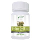 BHUMIJA LIFESCIENCES Psyllium Seed Husk Capsule 500 mg Unfalvoured Capsule