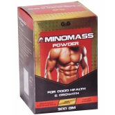 Rikhi GG Amino Mass Powder 300 gm Pack Of 1