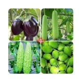 Vegetable Seeds combo for Kitchen Garden - 25+ Seeds | Easy to Grow with Instruction Manual