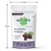 Natures Gift Mulberry Powder Smoothie 100 g