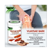 rawmest Vijaysar Bark Powder 300 gm Pack of 3