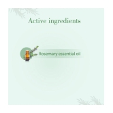 THE SKIN CO. - Rosemary Essential Oil 10 mL ( Pack of 1 )