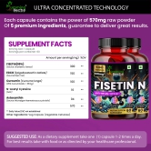 Humming Herbs Fisetin 570mg Advanced Formula - Anti-Inflammatory & Antioxidant Support Supplement with EGCG, Curcuminoids, N-Acetyl Cysteine, Astaxanthin - Energy Boost & Focus - Pack of 2