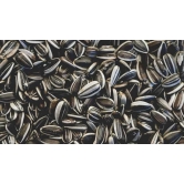 Sunflower Seeds