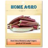 homeagro - Lady Finger Vegetable ( 50 Seeds )