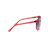 Pink Bugeye Sunglasses for Women