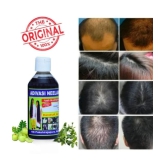 Growkesh Anti Hair Fall Amla Oil 100 ml ( Pack of 1 )