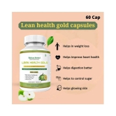 LEAN HEALTH GOLD -Bally fat & body Weight loss Supplement Capsule 60 no.s Pack Of 1