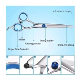 Dhanishka Moustache Scissors Pack of 2