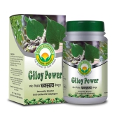 Basic Ayurveda Giloy Power 40 Capsules