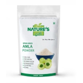 Nature''s Gift - 100 gm Amla Powder (Pack of 1)