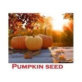 Organic Pumpkin Seeds ( 40 Seeds)