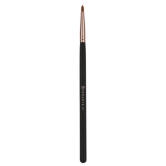 Pro Arte Ease Liner Brush (AE31)